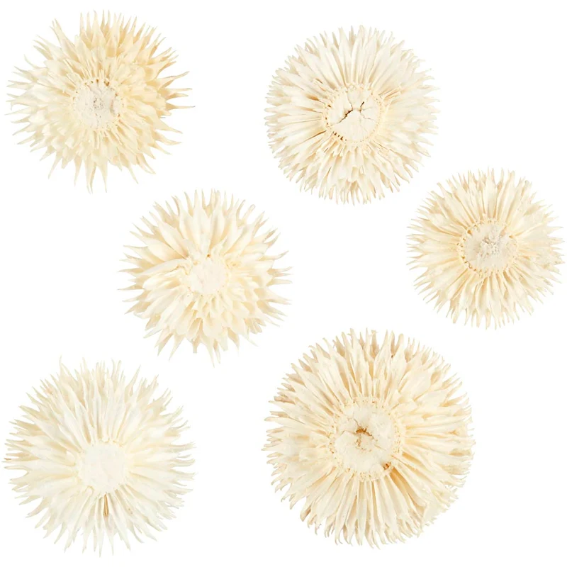 Torkade Blommor, Dia. 3-5 cm, 6 st./ 1 förp. [HOB-50204]
