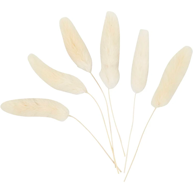 Harsvans-gräs, L: 3-7 cm, 6 st./ 1 förp. [HOB-50203]