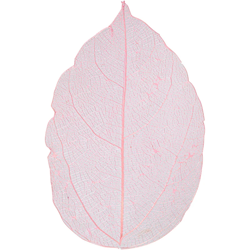 Skelettblad, L: 6-8 cm, ljusröd, 20 st./ 1 förp. [HOB-504496]