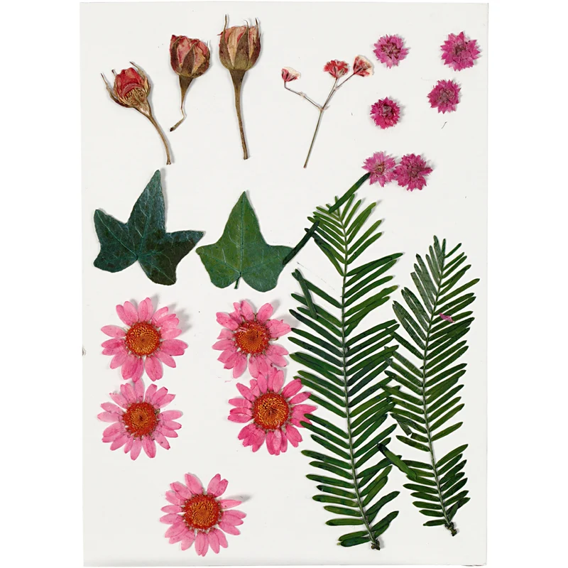 Torkade blommor och blad, ca. 19 st., ljusröd, 1 förp. [HOB-504471]