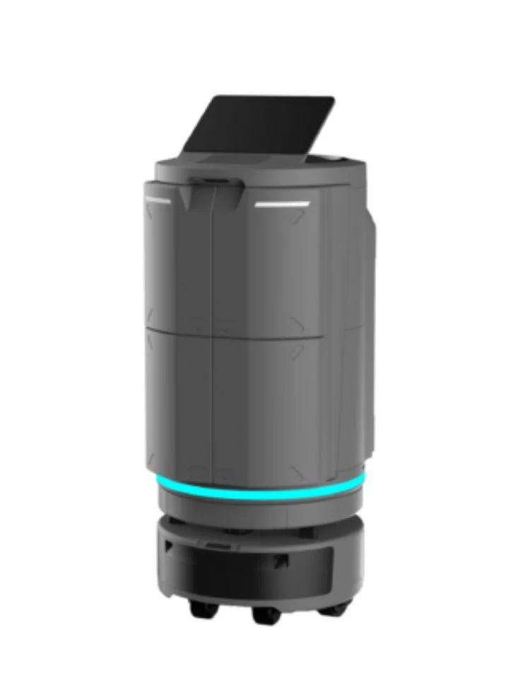 temi GO PRO