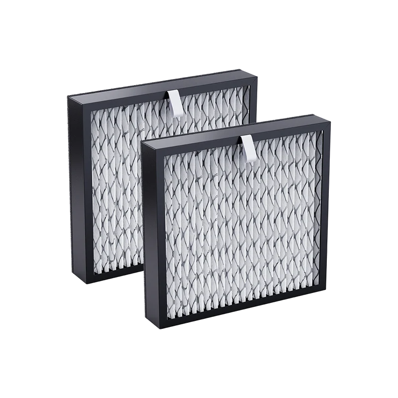 Guard Filter 2-pack