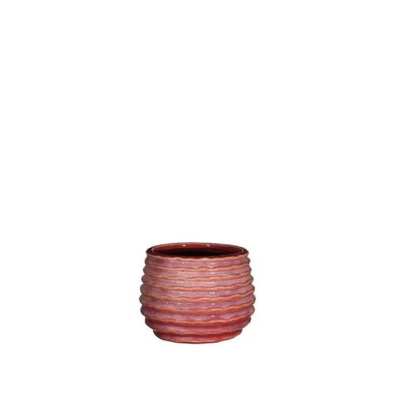Kruka Rosa Karmin Rise Ø6,5 x h: 8 cm (12 st) [IFS-33982]