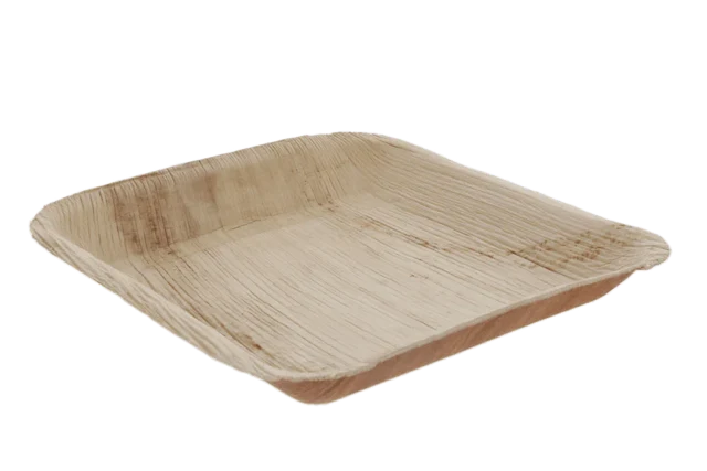 Tallrik Palmblad 24x2,5x24 cm (100 st) [TK-9987151]