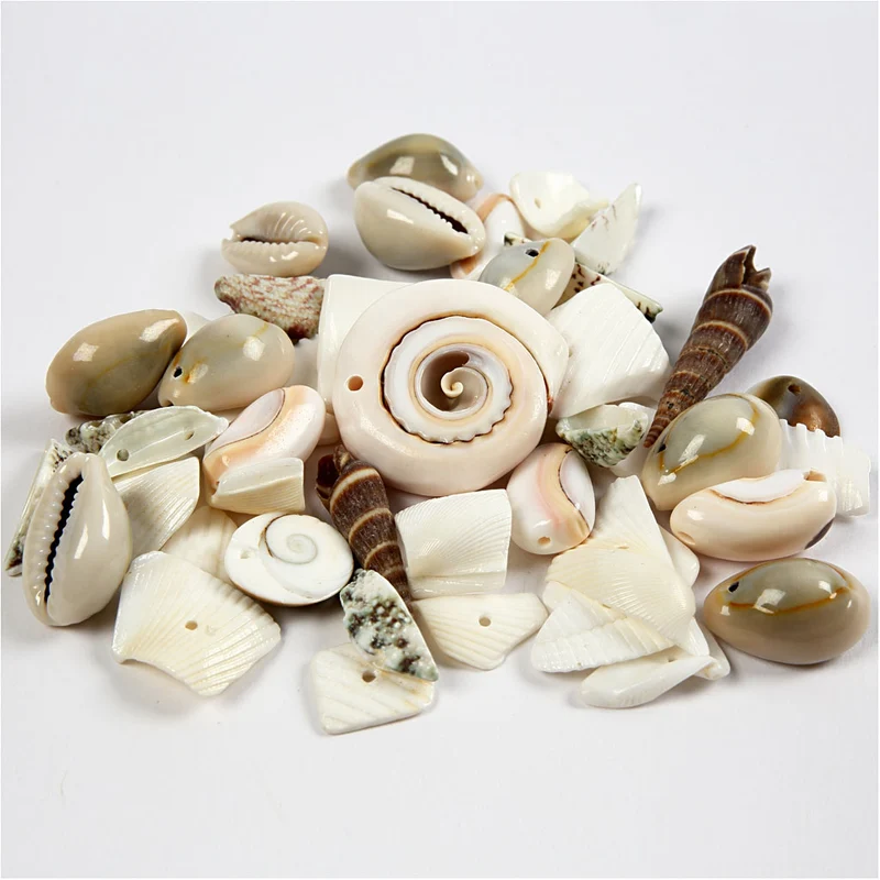 Strandsnäckor, stl. 9-40 mm, Hålstl. 1-1,5 mm, 120 g/ 1 förp. [HOB-631881]