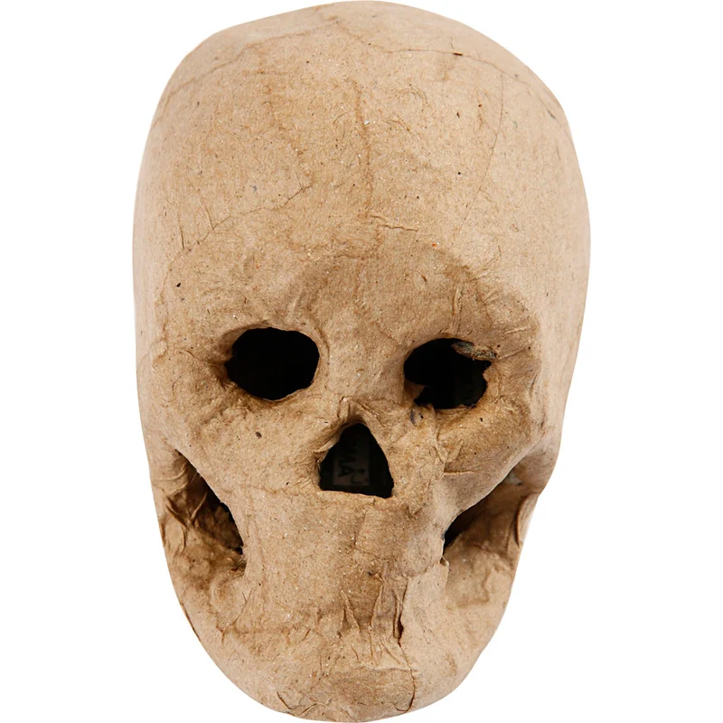 Kranium, H: 10 cm, 1 st. [HOB-592572]