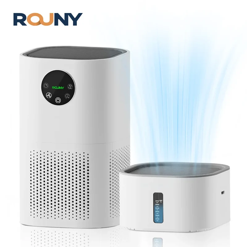 2-in-1 Air Purifier with Humidifier – H13 True HEPA Filter, for Allergies, Pets, Smokers, Bedroom Use
