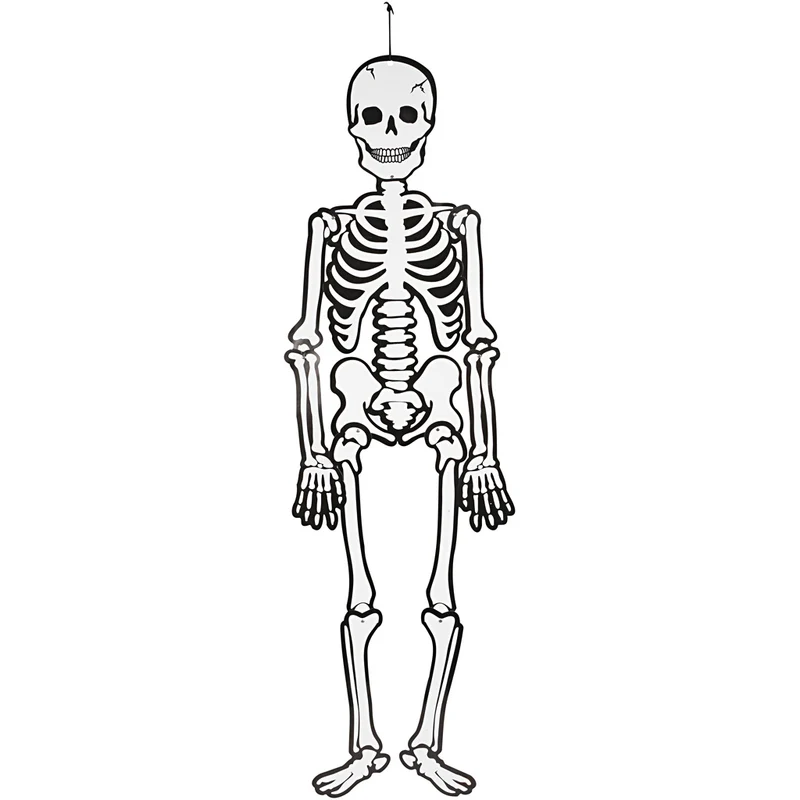 Skelett, H: 120 cm, 300 g, vit, 1 st. [HOB-23592]