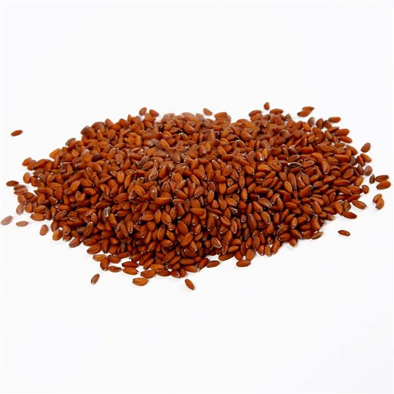 Krassefrön, 30 g/ 1 påse [HOB-23345]