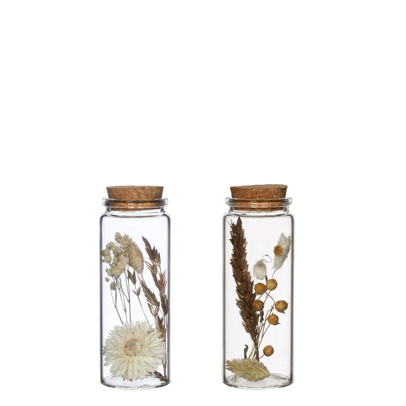 Glasrör med flera torkade blommor naturliga 12,5 cm höga (12 st.) [IFS-30346]