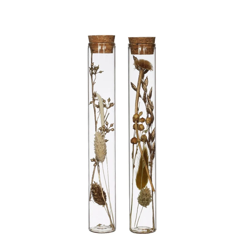 Glasrör med flera torkade blommor naturliga 20cm höga (12 st.) [IFS-30344]