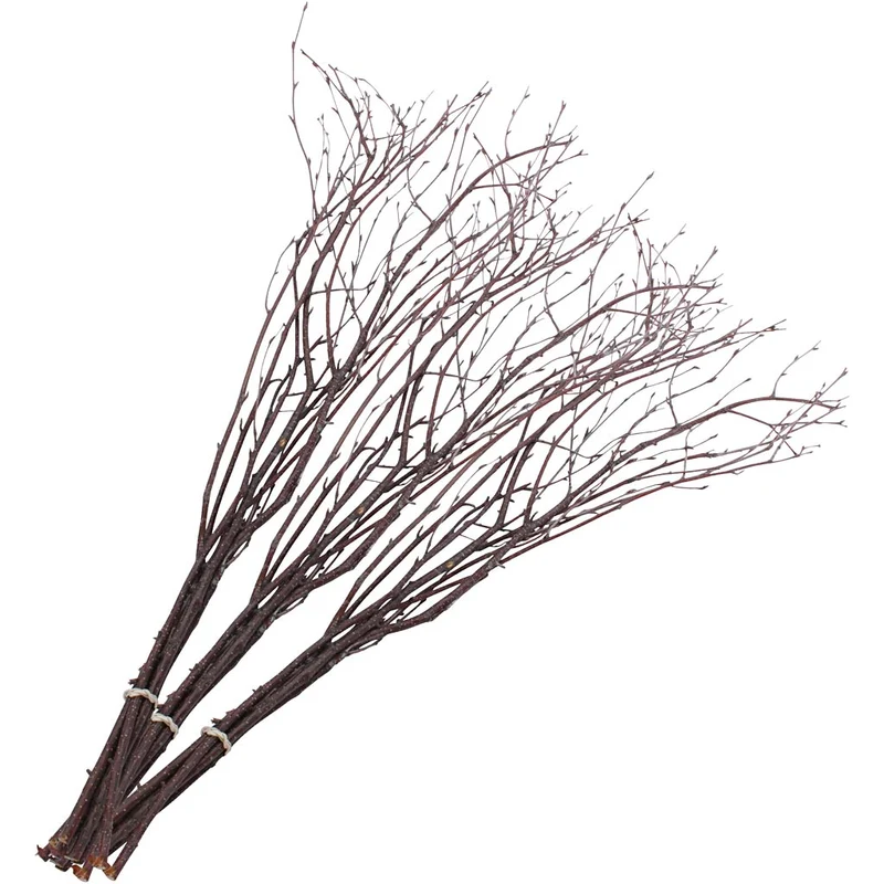 Påskris, L: 50-60 cm, 20 st./ 1 förp. [HOB-50240]