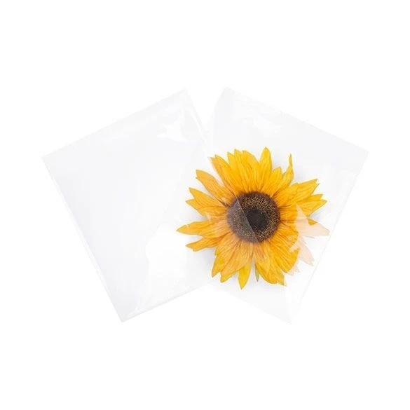 Plastpåsar 22,1x21,7cm Transparent med Tejpremsa (100 st) [B8X8M]