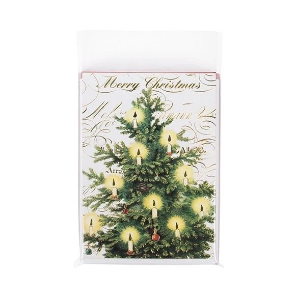 Plastpåsar 15,1x19,7cm Transparent med Tejpremsa (100 st) [B5N9PC]