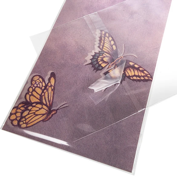 Cellofanpåsar med Eurohål 11x24,3cm Transparent med Tejpremsa (100 st) [HB49PC]