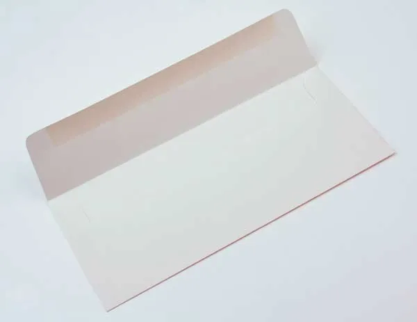#10 Square FlapPremium Opaque 24,1 x 10,5 cm (50 st) [E1D1]