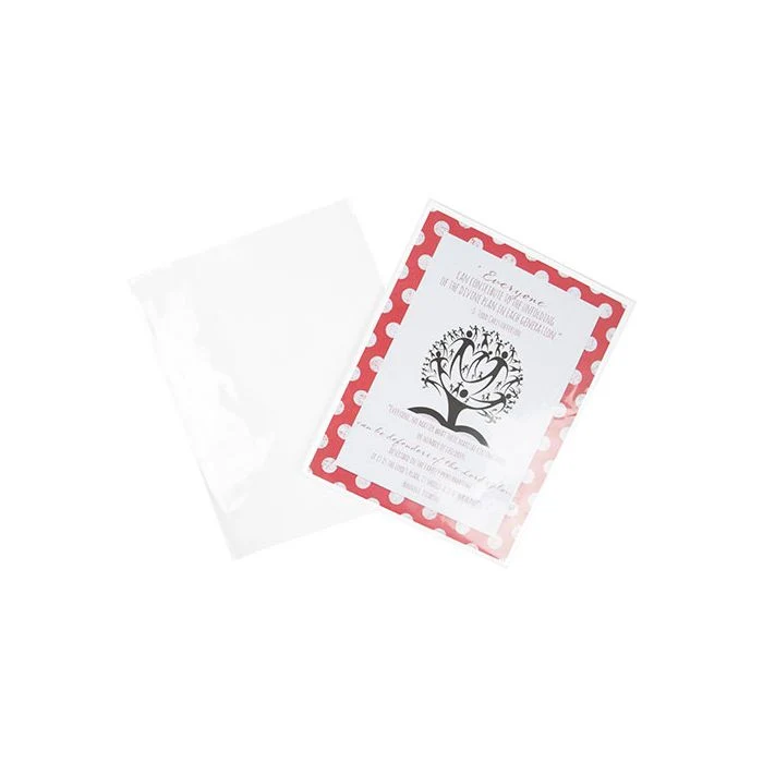 Plastpåsar 22,7x28,9cm laminerade och förseglingsbart (100 st) [LB811NF]