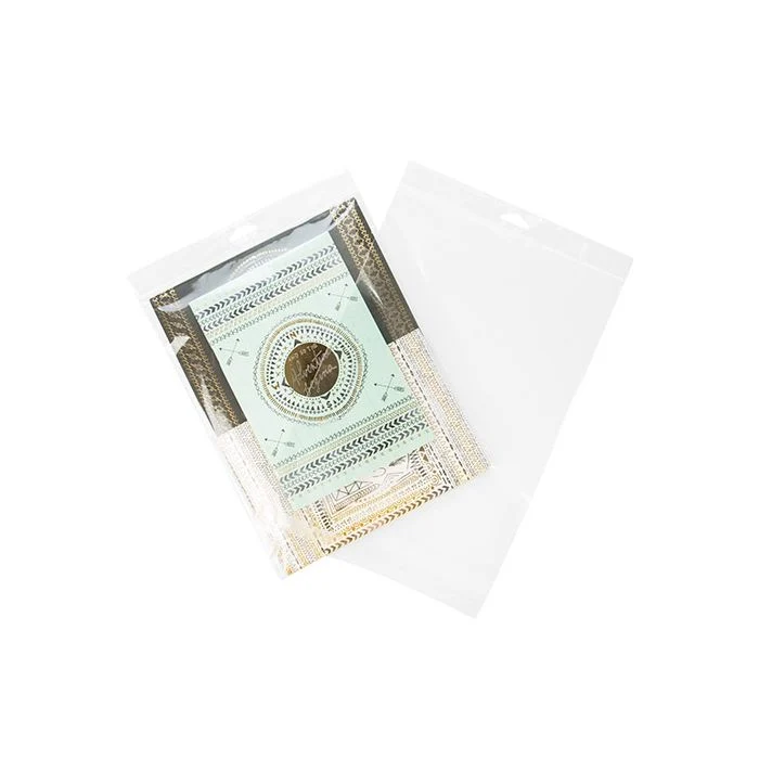 Cellofanpåsar med Eurohål 23,2x30,5cm Tung Kvalitet (100 st) [HB811HD]