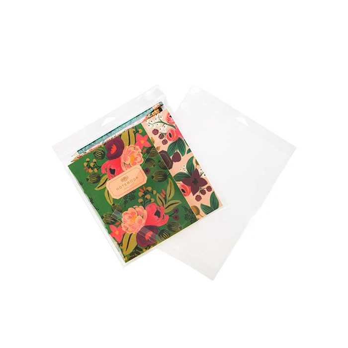 Cellofanpåsar med Eurohål 22,2x22,9cm Transparent med Tejpremsa (100 st) [HB88XL]