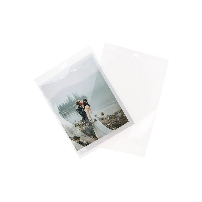 Cellofanpåsar med Eurohål 22,7x28,6cm Transparent med Tejpremsa (100 st) [HB811]