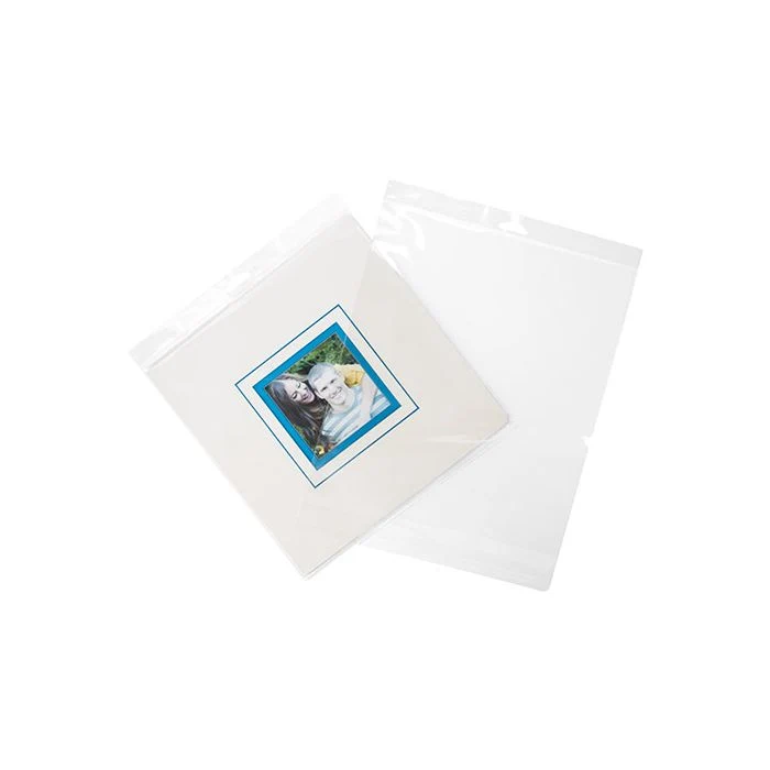 Cellofanpåsar med Eurohål 26x29,2cm Transparent med Tejpremsa (100 st) [HB1011]