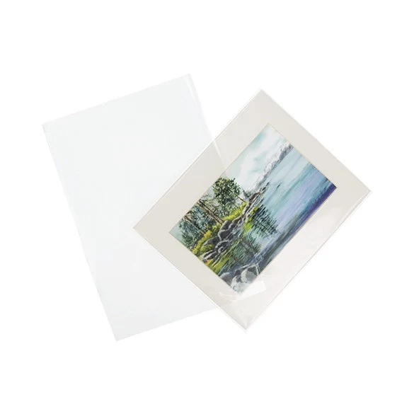 Plastpåsar 21,4x26cm Transparent (100 st) [B108NF]