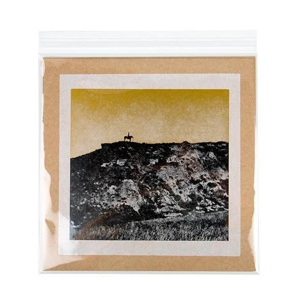 Plastpåsar 31,6x31,1cm Transparent med Tejpremsa (100 st) [B12X12]
