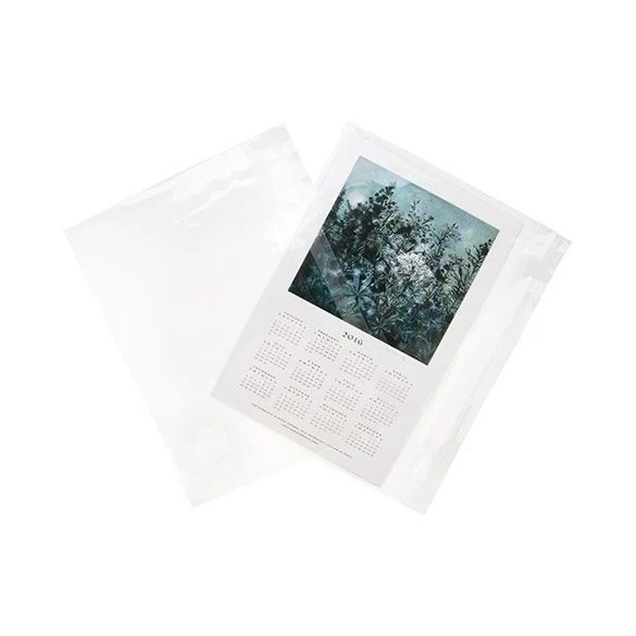 Plastpåsar 22x14,5cm Transparent med Tejpremsa (100 st) [B9X5]