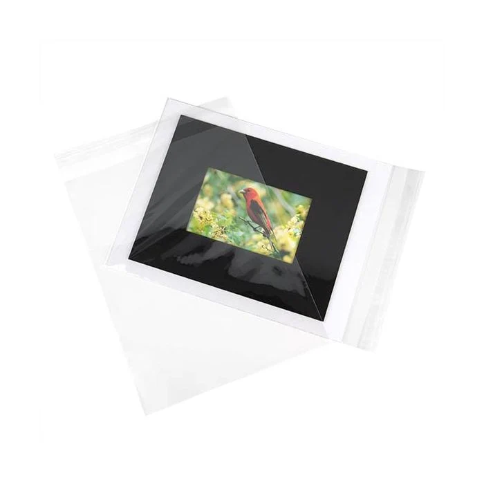 Plastpåsar 24x31,2cm Transparent med Tejpremsa (100 st) [B9]