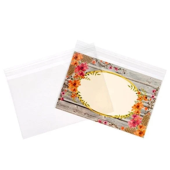 Plastpåsar 22x14cm Transparent med Tejpremsa (100 st) [B85]