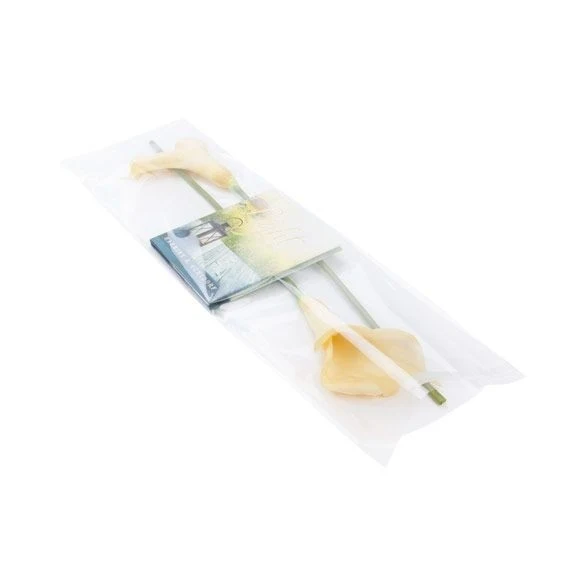 Plastpåsar 21,4x69,2cm Transparent med Tejpremsa (100 st) [B827]