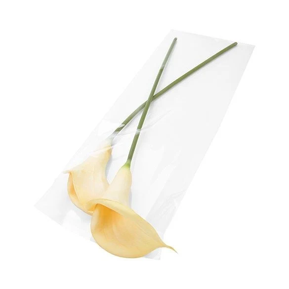 Plastpåsar 21,9x59,7cm Transparent med Tejpremsa (100 st) [B823]