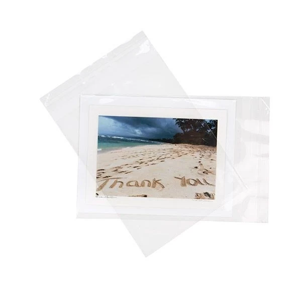 Plastpåsar 15,9x20,7cm Transparent med Tejpremsa (100 st) [B86S]