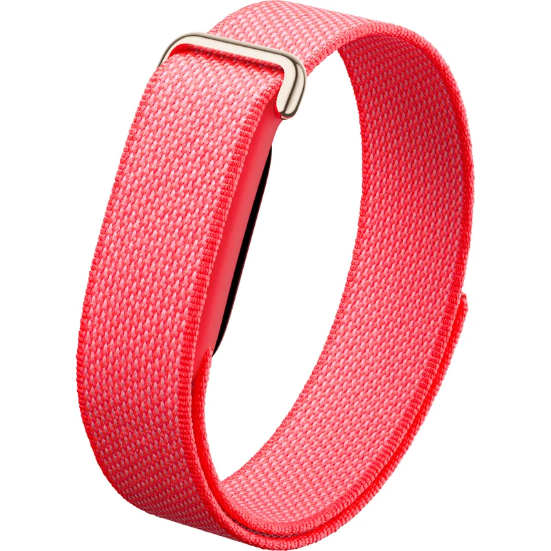 Google Fitbit Air Fitness Tracker, Berry