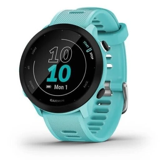 Garmin Forerunner 55